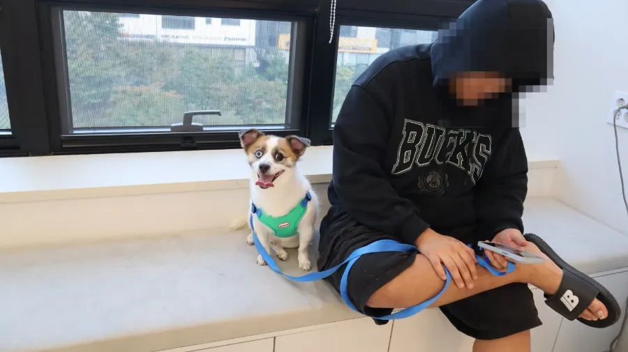 강아지 스케일링 비용, 마취 수술 내돈내산 후기 (충치 포함) — 사진 2