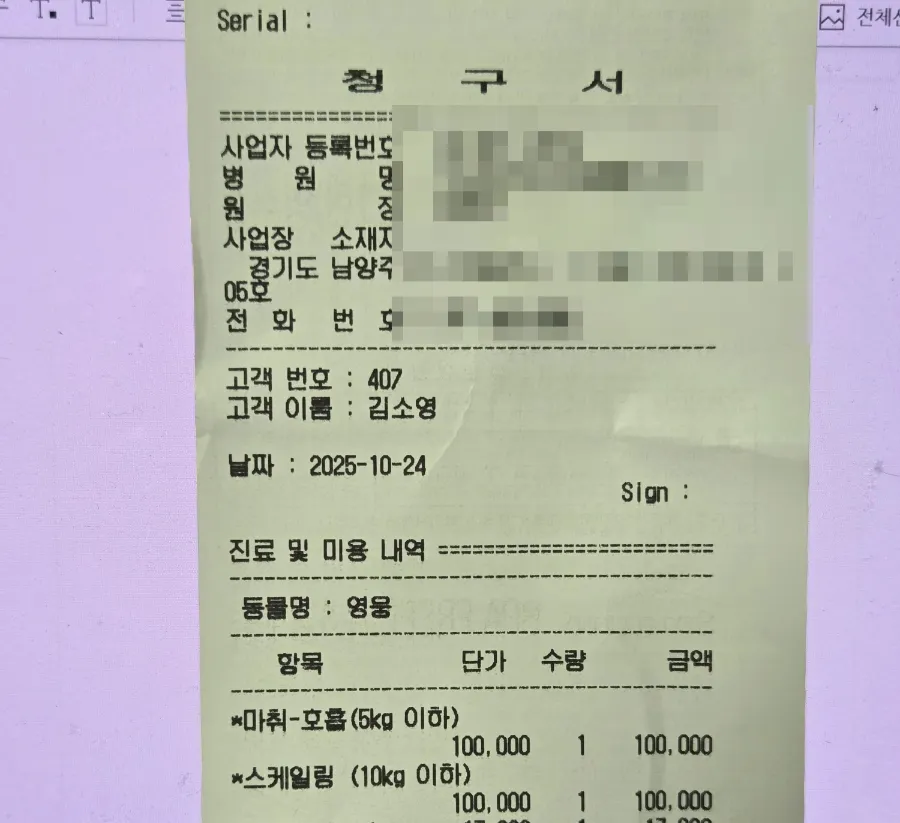 강아지 스케일링 비용, 마취 수술 내돈내산 후기 (충치 포함) — 사진 12