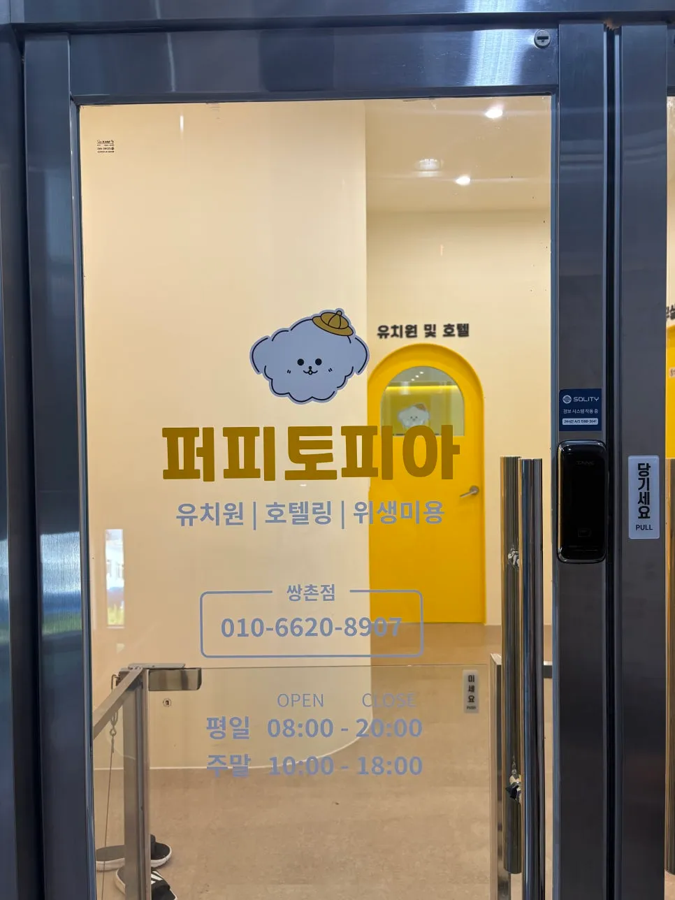광주 강아지 유치원 퍼피토피아 쌍촌점: CCTV·영상통화·100평 규모