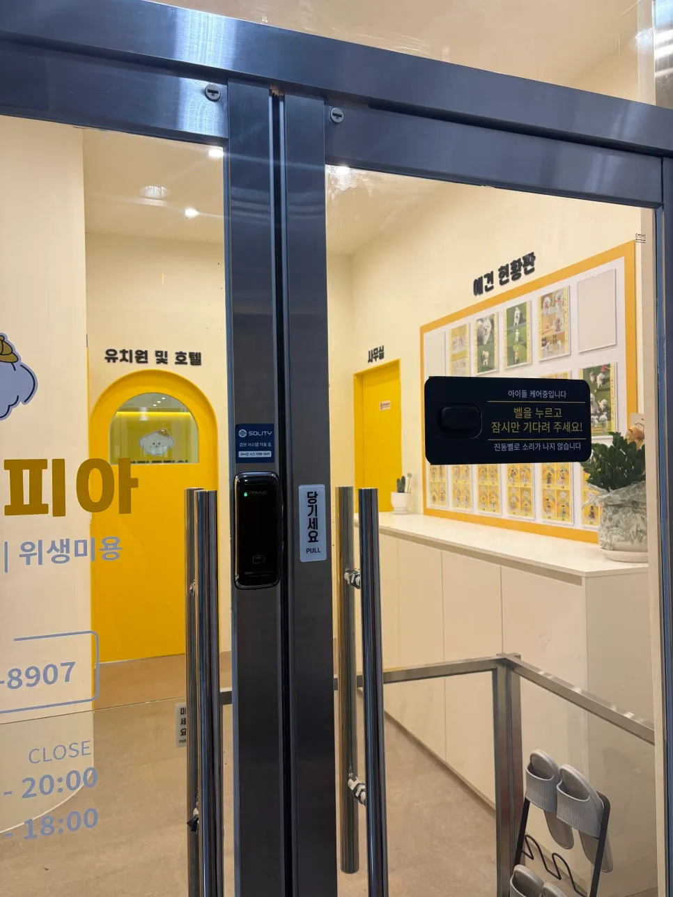 광주 강아지 유치원 퍼피토피아 쌍촌점: CCTV·영상통화·100평 규모 — 사진 2