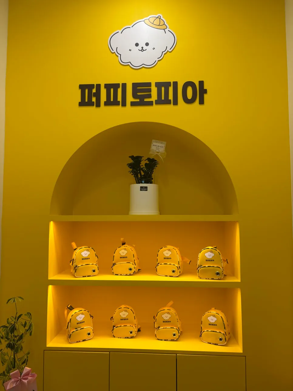 광주 강아지 유치원 퍼피토피아 쌍촌점: CCTV·영상통화·100평 규모 — 사진 3