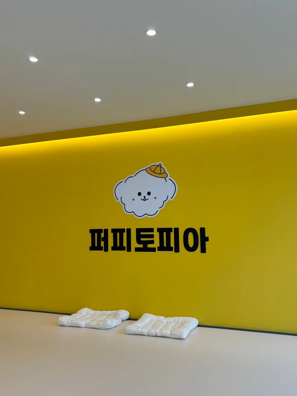 광주 강아지 유치원 퍼피토피아 쌍촌점: CCTV·영상통화·100평 규모 — 사진 7