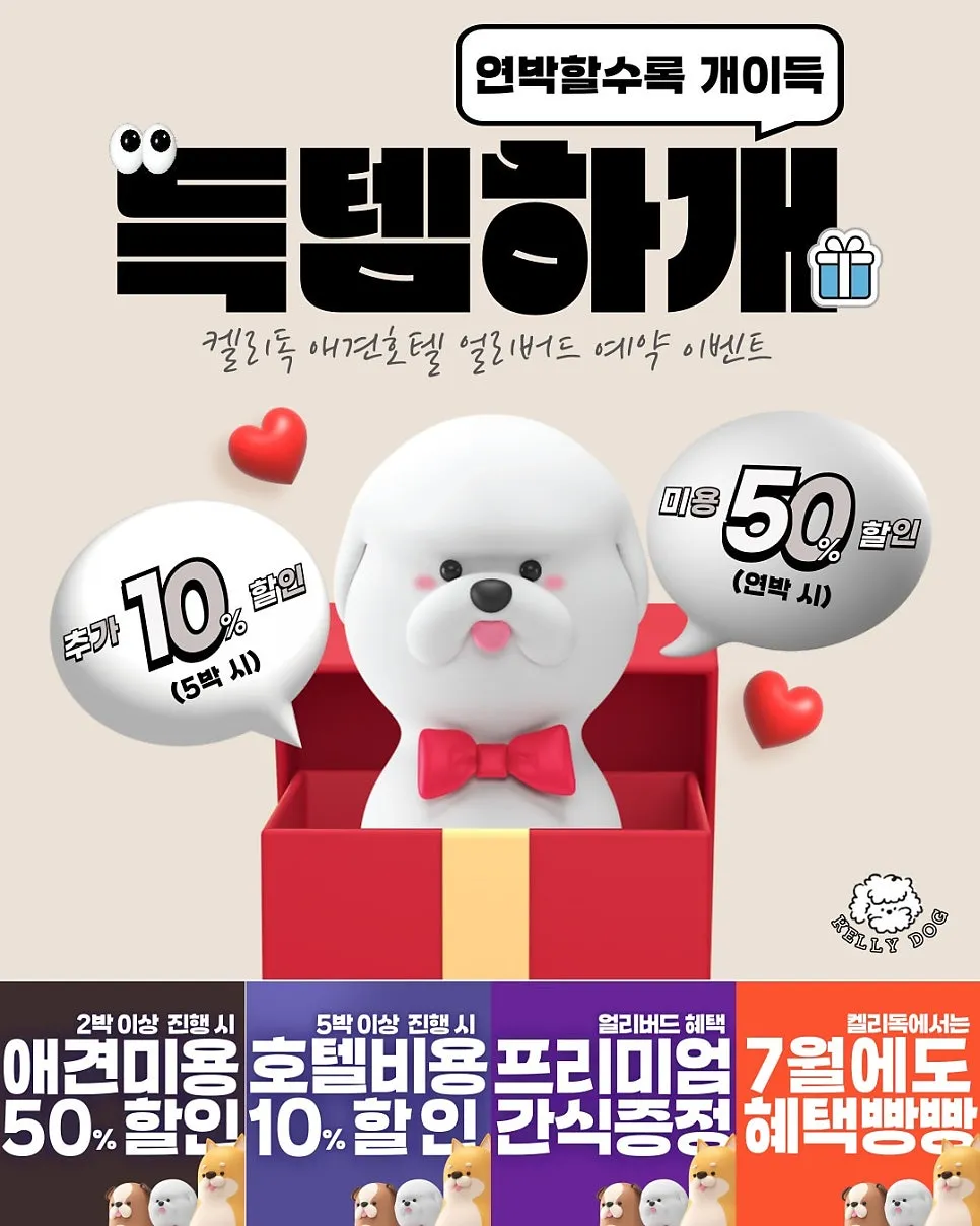 강남 푸들 미용: 켈리독 스트레스 없는 프리미엄 케어 — 사진 9
