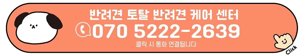 강남 푸들 미용: 켈리독 스트레스 없는 프리미엄 케어 — 사진 12