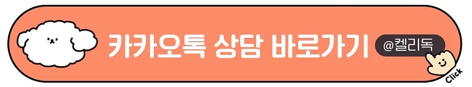강남 푸들 미용: 켈리독 스트레스 없는 프리미엄 케어 — 사진 13