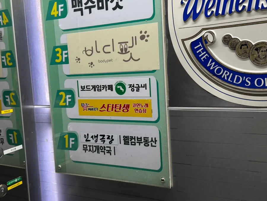 대전 슬개골 재활 훈련: 바디펫 독피트니스 후기