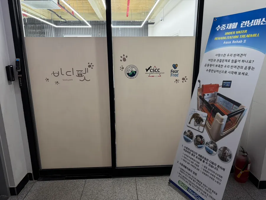 대전 슬개골 재활 훈련: 바디펫 독피트니스 후기 — 사진 2