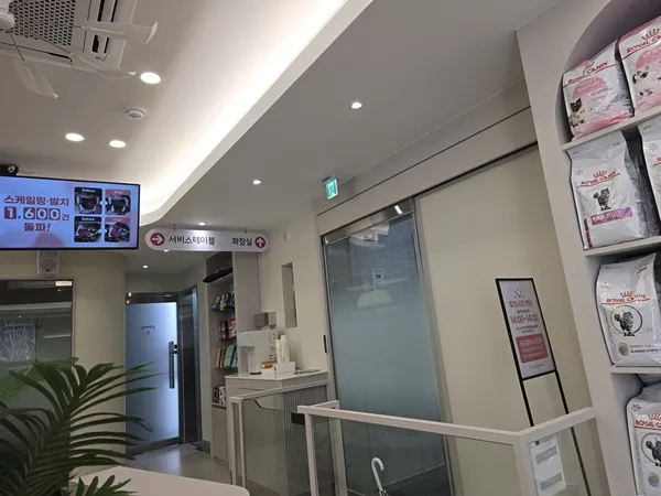 주안 고양이 치주염 치료: 모모동물의료센터 레오 사례 — 사진 11