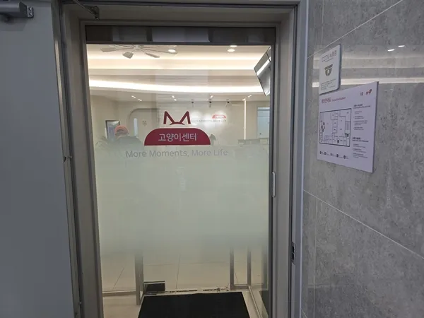 주안 고양이 치주염 치료: 모모동물의료센터 레오 사례 — 사진 16