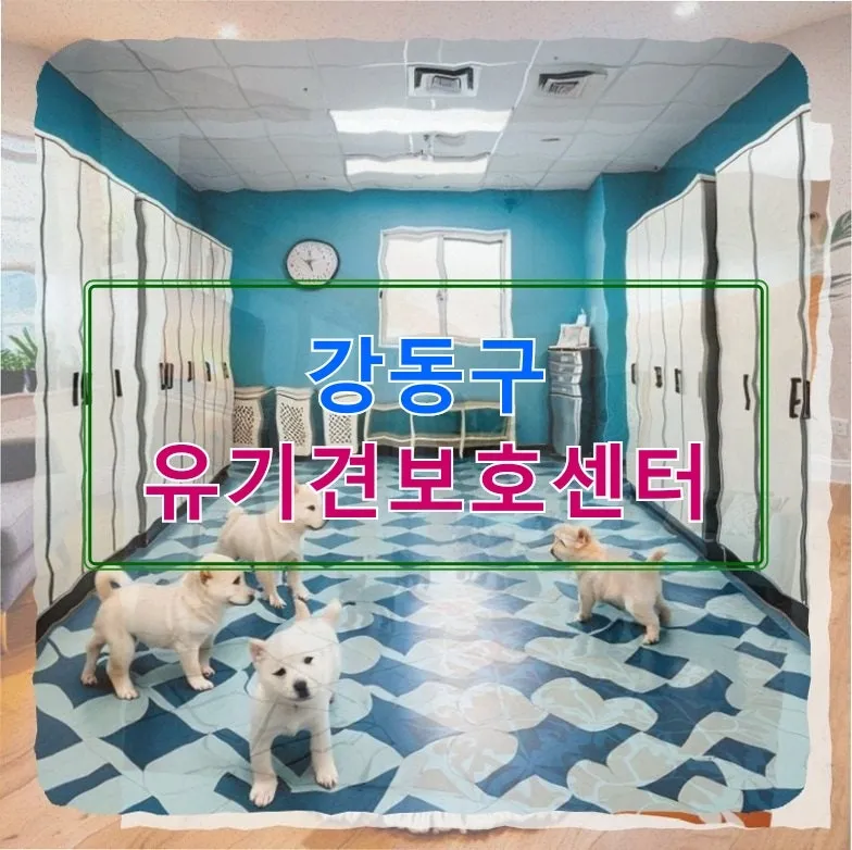 강동구 유기견보호센터 푸들믹스 입양 후기: 뭉치의 소리 공포증 극복기