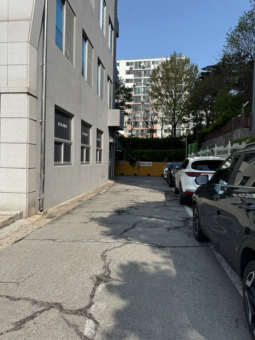 광주 화정동 강아지 스케일링, 리본동물병원 후기 및 비용 — 사진 2