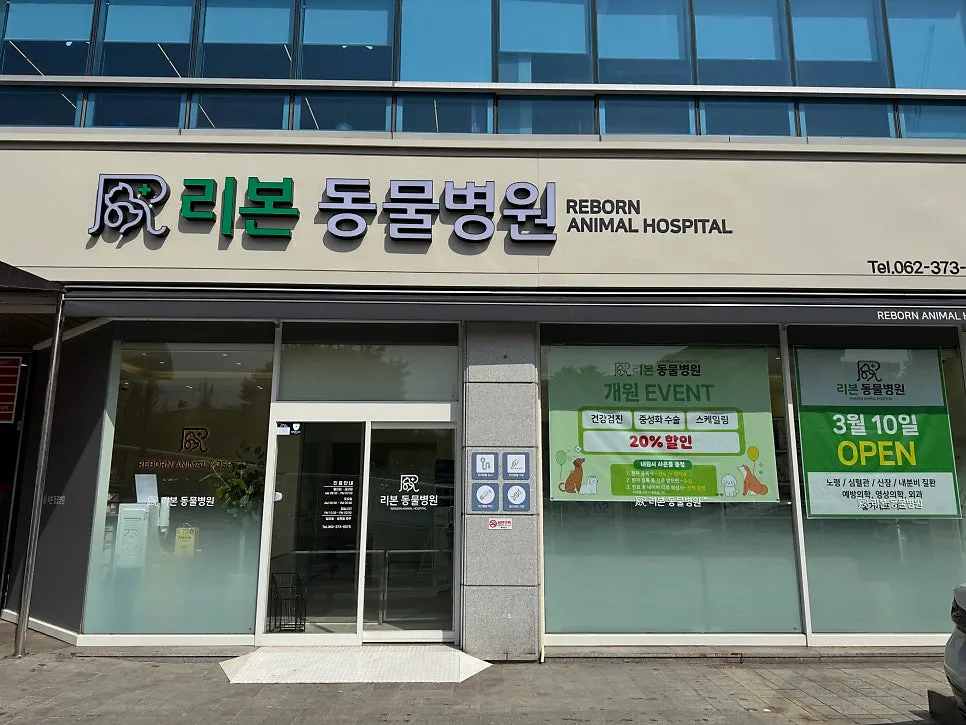 광주 화정동 강아지 스케일링, 리본동물병원 후기 및 비용 — 사진 3