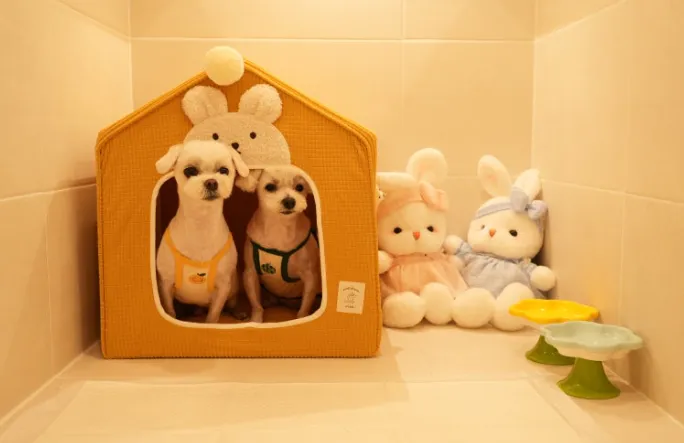 부산 중소형견 애견호텔 맘바이, 안심 호텔링 후기 — 사진 10
