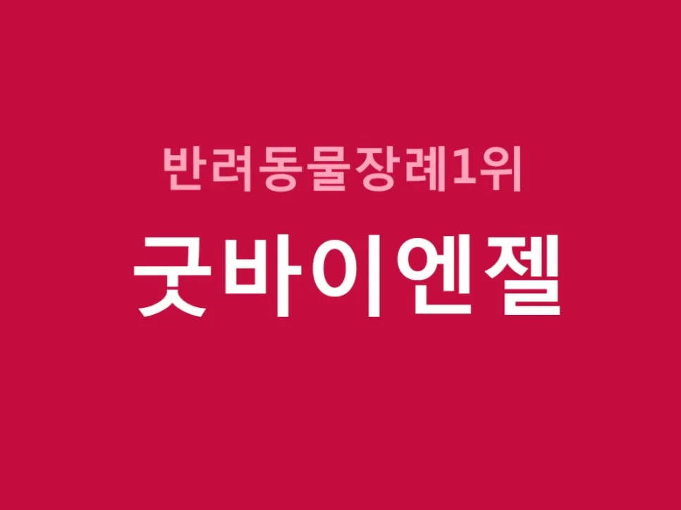 고양이 장례, 굿바이엔젤에서 마지막 인사 나누기 — 사진 7