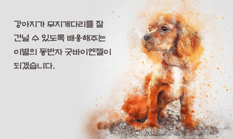 고양이 장례, 굿바이엔젤에서 마지막 인사 나누기 — 사진 9