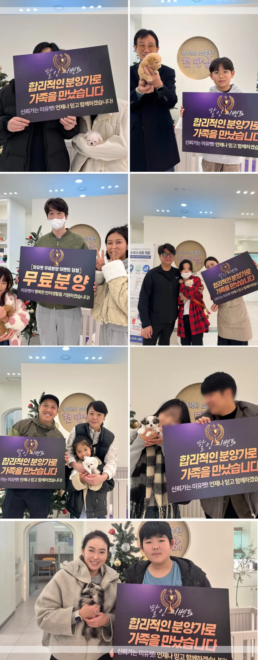 서울 말티푸 무료 입양: 미유펫에서 가족 찾기 — 사진 17