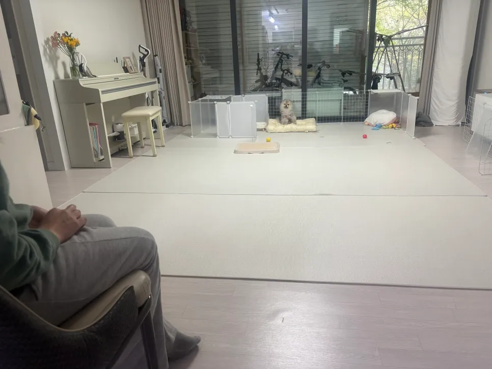 안양 강아지 방문훈련: 문제 행동 해결 후기 및 교육 방법 — 사진 10
