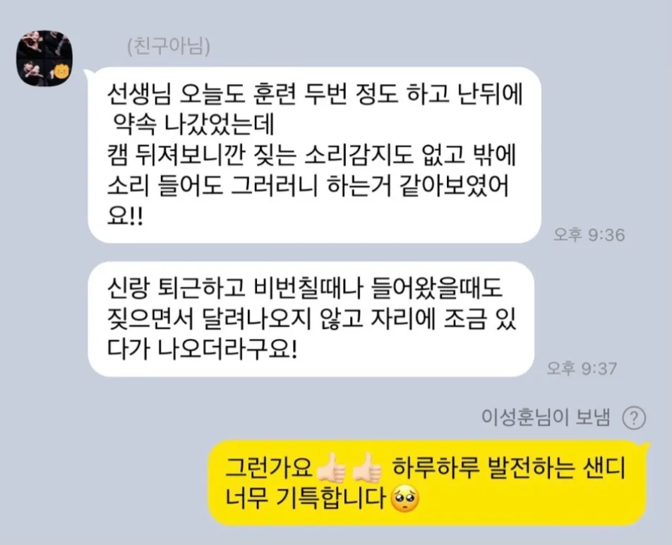 안양 강아지 방문훈련: 문제 행동 해결 후기 및 교육 방법 — 사진 12