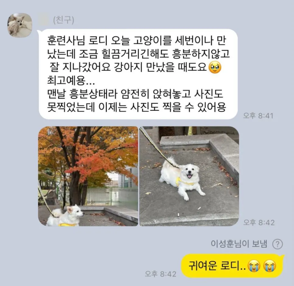 안양 강아지 방문훈련: 문제 행동 해결 후기 및 교육 방법 — 사진 13