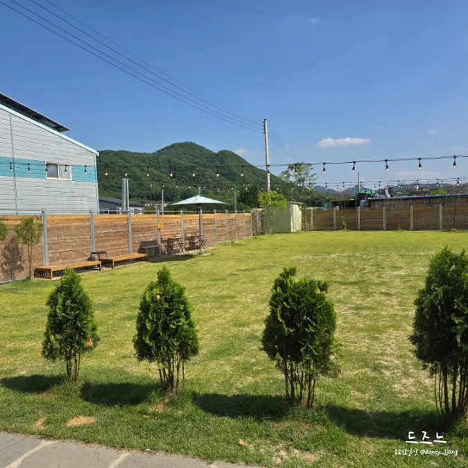 경기 광주 오잉독 애견운동장, 시바견 단체 대관 후기 — 사진 2