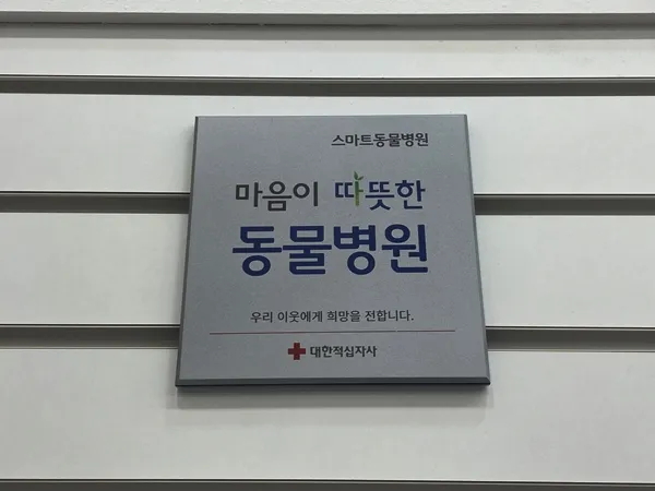 고양이 허피스 완치 후기: 운정 스마트동물병원 치료 과정 — 사진 3