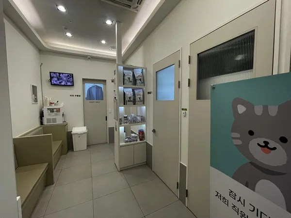 고양이 허피스 완치 후기: 운정 스마트동물병원 치료 과정 — 사진 13