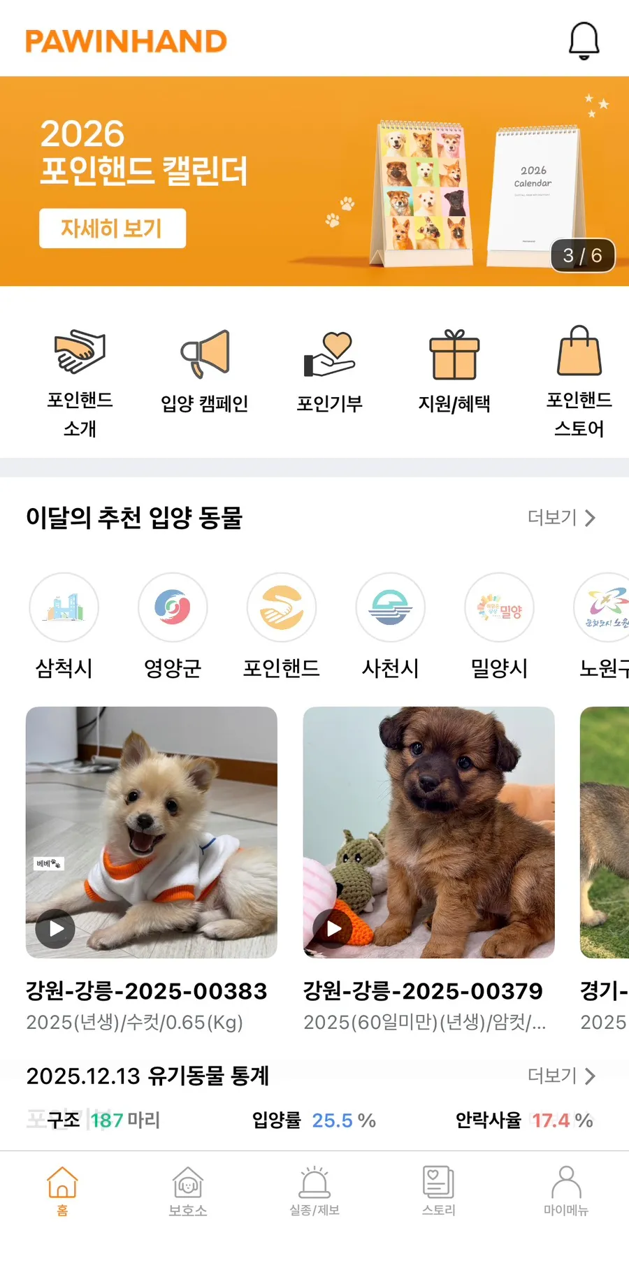 유기견 입양 절차 및 비용: 포인핸드 동해센터 후기 — 사진 2