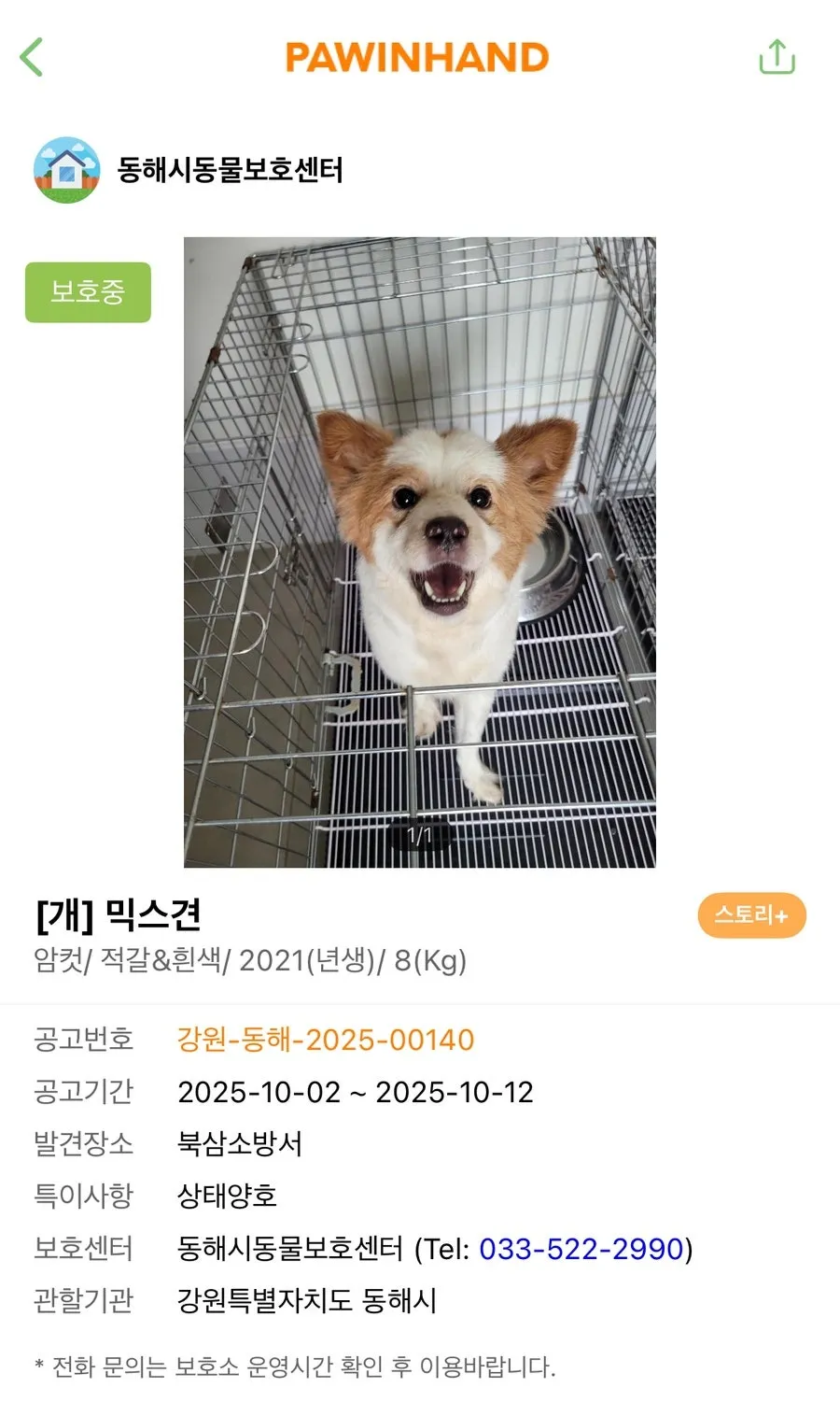 유기견 입양 절차 및 비용: 포인핸드 동해센터 후기 — 사진 3