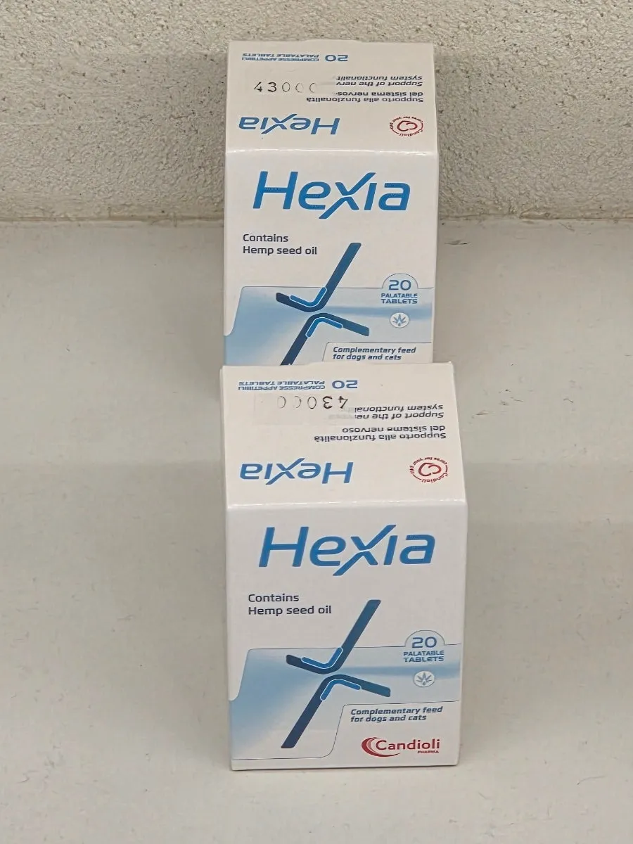 일산 강아지 TPLO 수술 후기: 정창수동물병원 비용과 회복 과정 — 사진 5