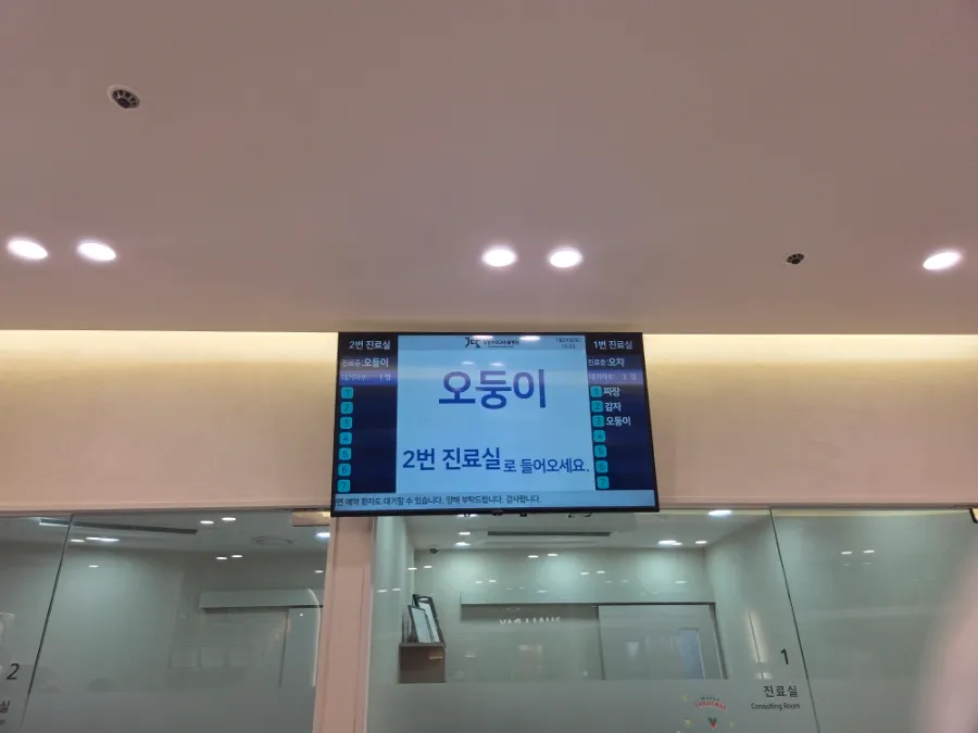 일산 강아지 TPLO 수술 후기: 정창수동물병원 비용과 회복 과정 — 사진 7