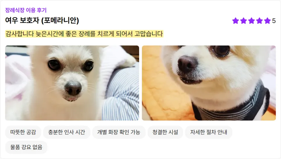 울산 강아지 장례식장 비용·참관 후기 안내 — 사진 11