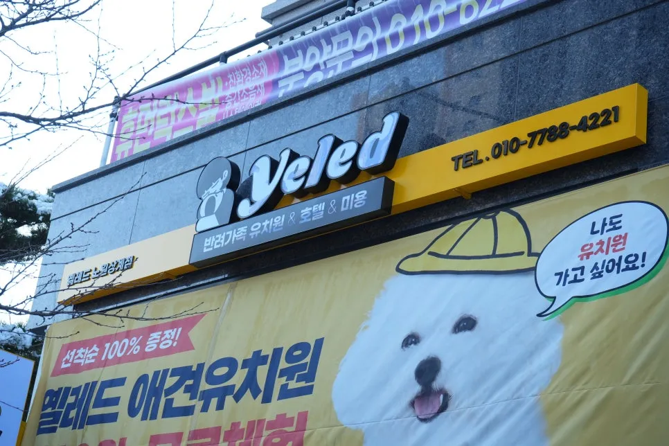 강아지 유치원 비용 비교: 옐레드 방문 후기 및 장점 — 사진 2