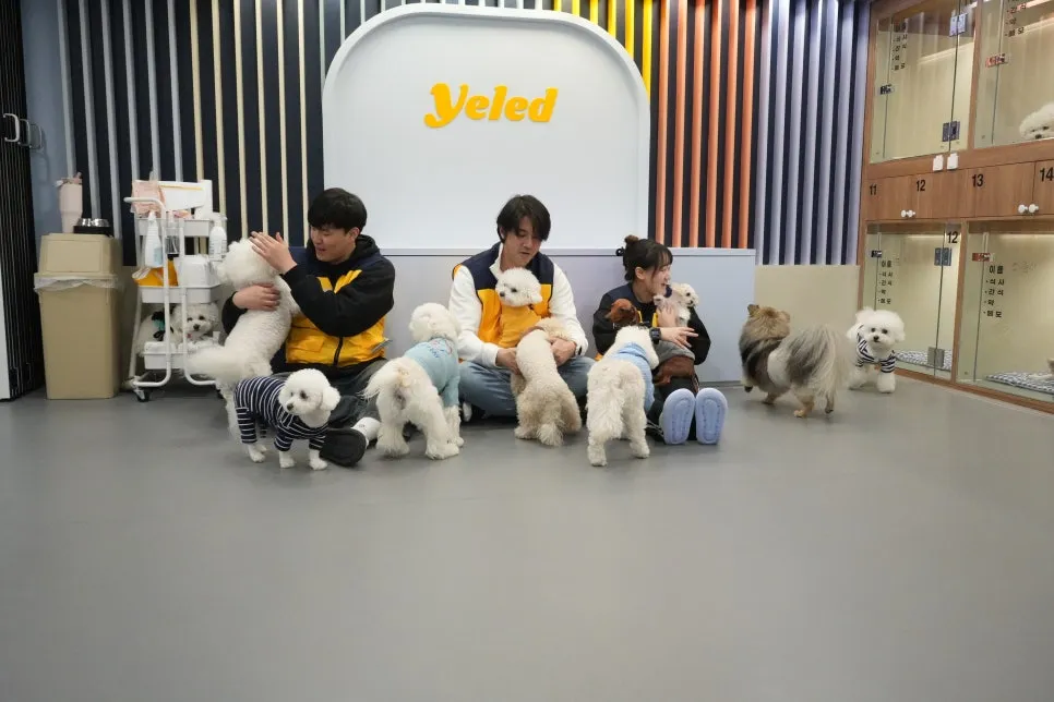강아지 유치원 비용 비교: 옐레드 방문 후기 및 장점 — 사진 10