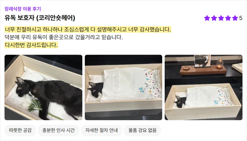 김포 고양이 장례식장: 믿을 수 있는 반려묘 마지막 여정 — 사진 7