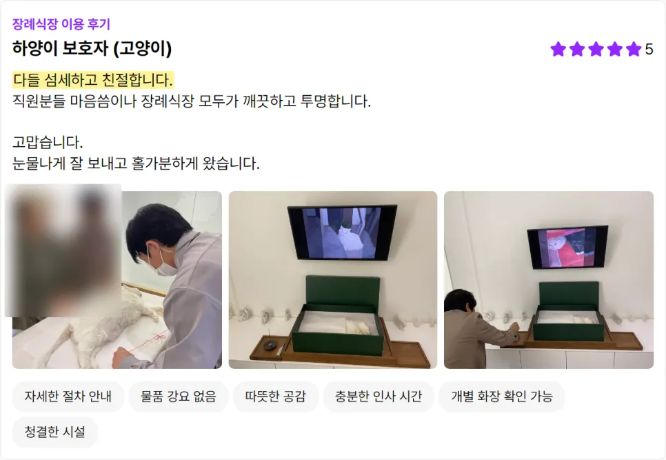 김포 고양이 장례식장: 믿을 수 있는 반려묘 마지막 여정 — 사진 14