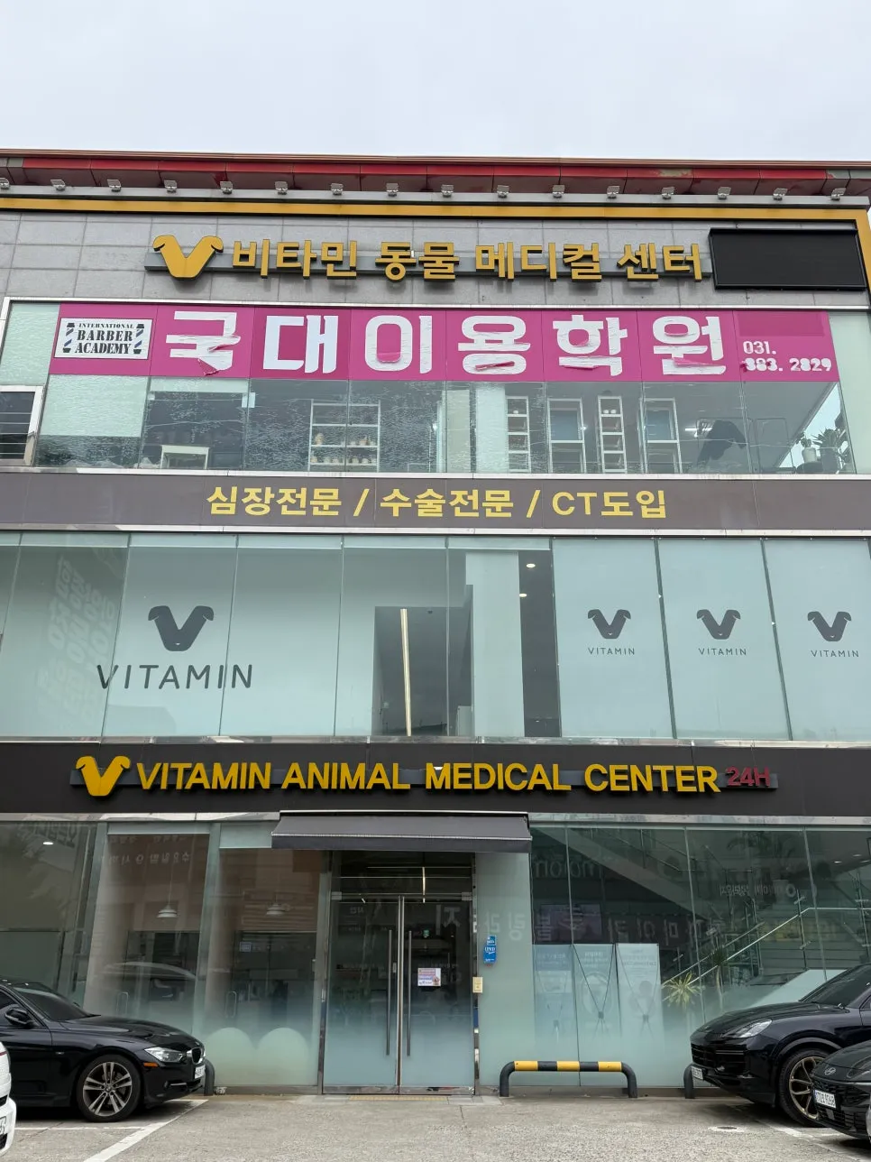 안양 고양이 장염 치료 후기: 비타민동물병원 입원 및 회복 과정 — 사진 2