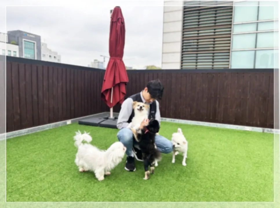 광주 유기견 입양 절차 및 비용: 보호소 방문부터 지원금까지 — 사진 2