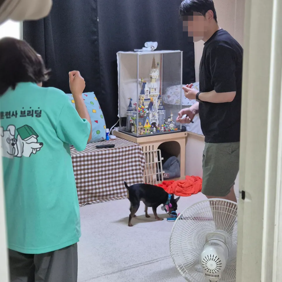 강아지 분리불안 훈련, 브리딩 AI 진단 후기 — 사진 2