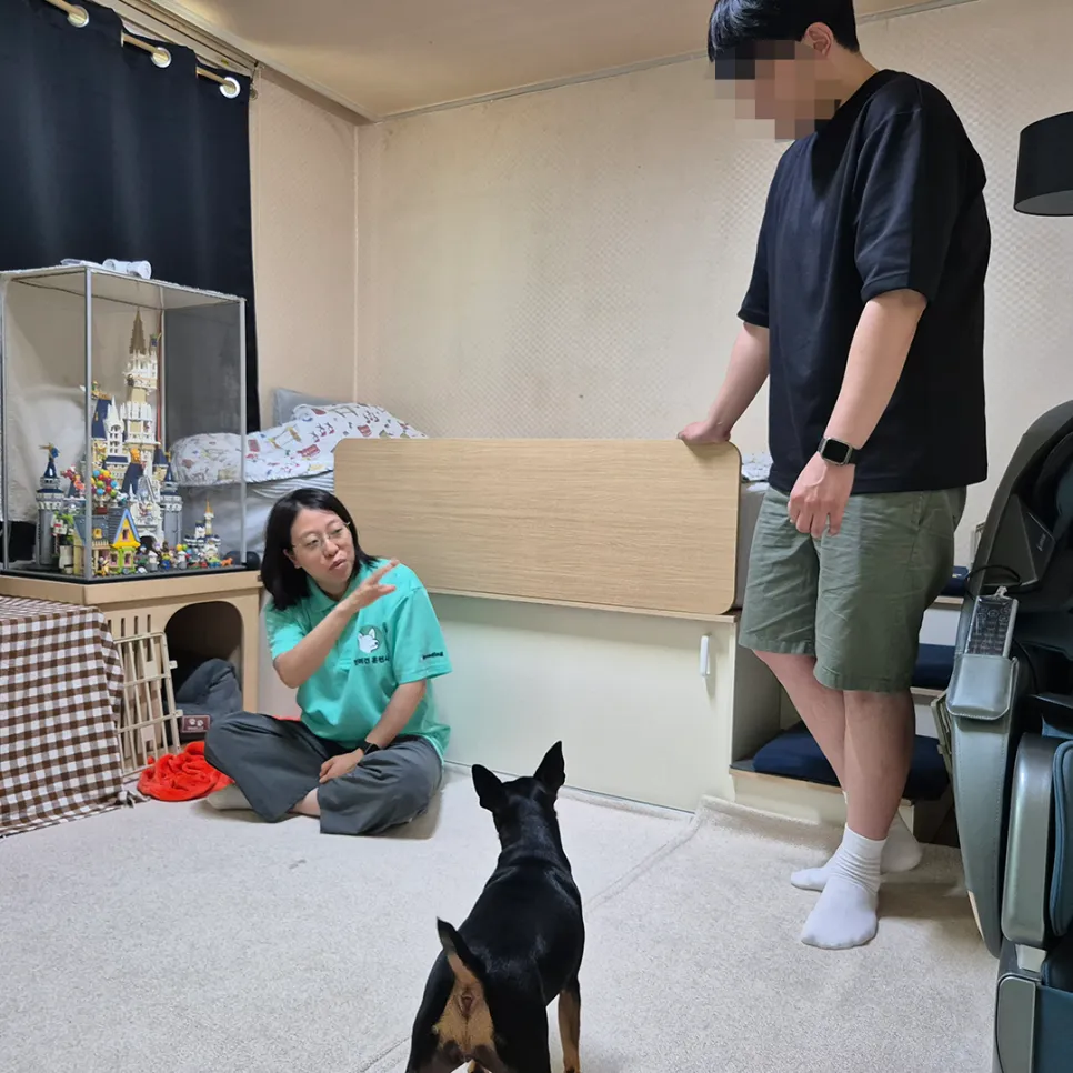 강아지 분리불안 훈련, 브리딩 AI 진단 후기 — 사진 4