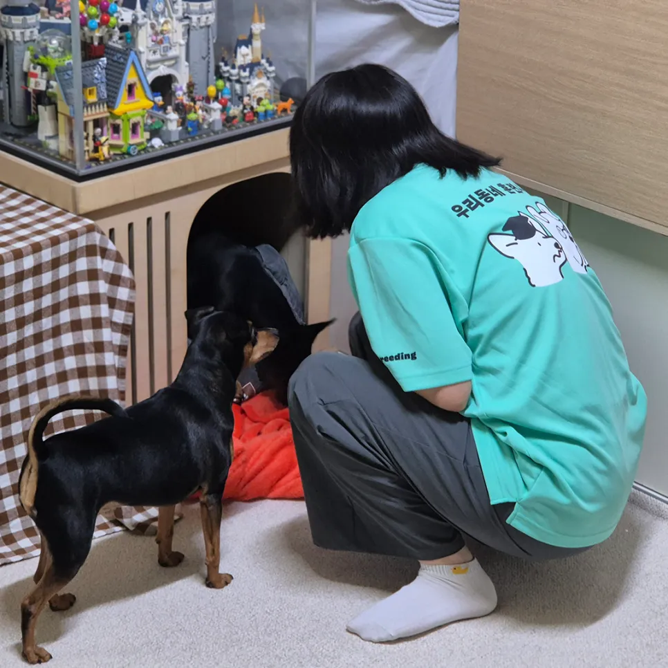 강아지 분리불안 훈련, 브리딩 AI 진단 후기 — 사진 6