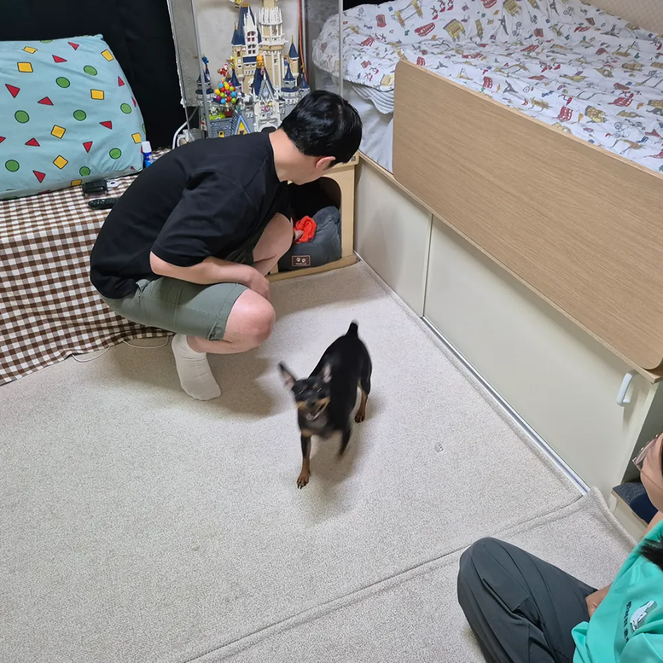 강아지 분리불안 훈련, 브리딩 AI 진단 후기 — 사진 7