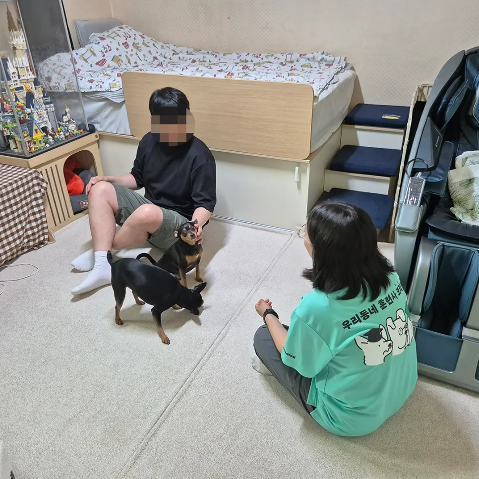 강아지 분리불안 훈련, 브리딩 AI 진단 후기 — 사진 8