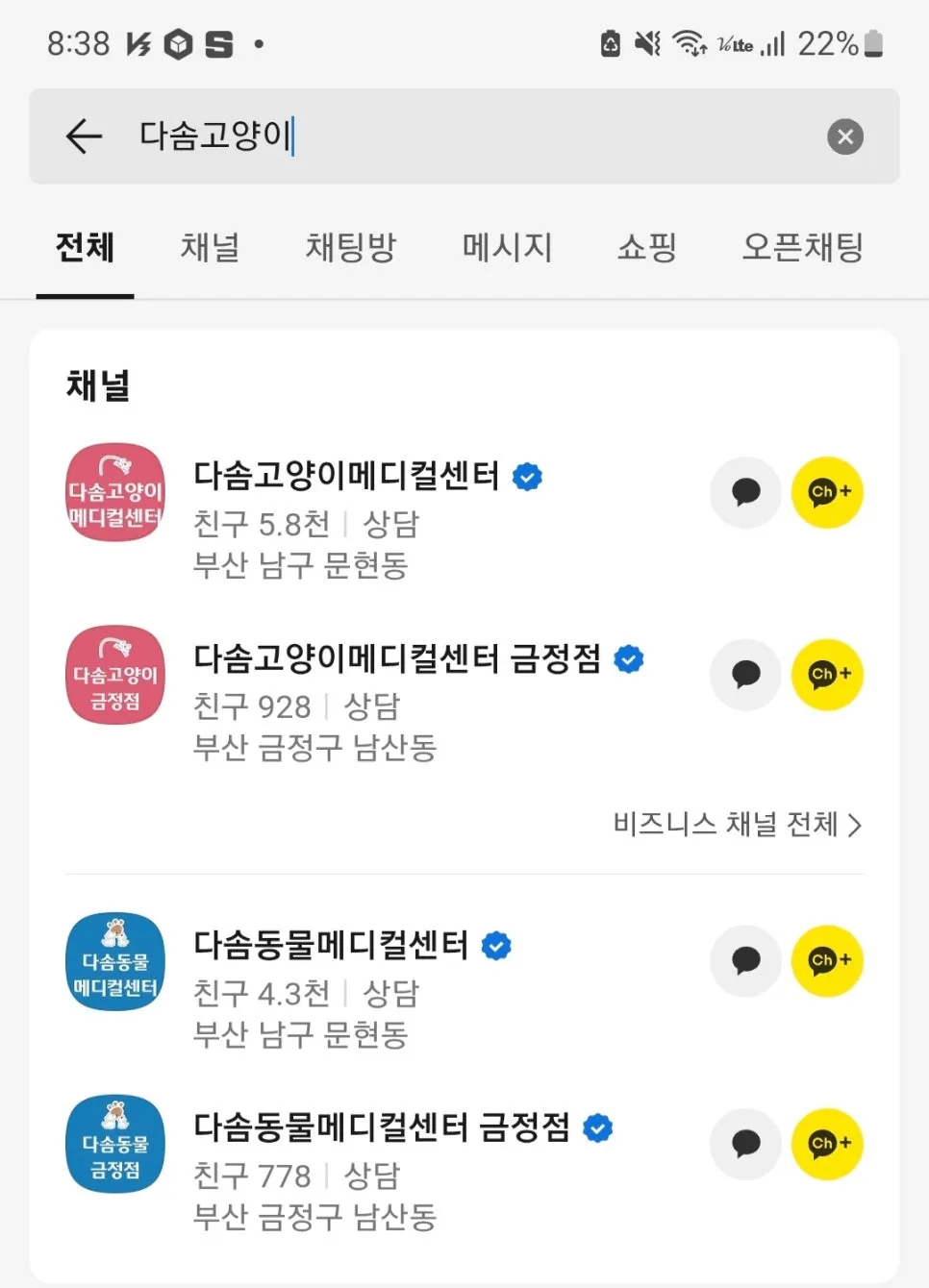 부산 고양이 건강검진 비용, 다솜동물병원 플래티넘 패키지 후기 — 사진 4