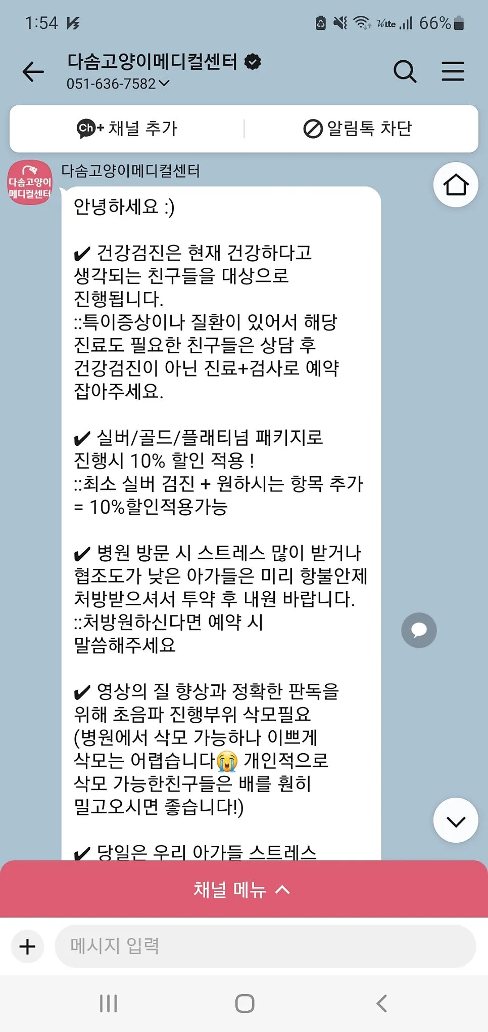 부산 고양이 건강검진 비용, 다솜동물병원 플래티넘 패키지 후기 — 사진 5