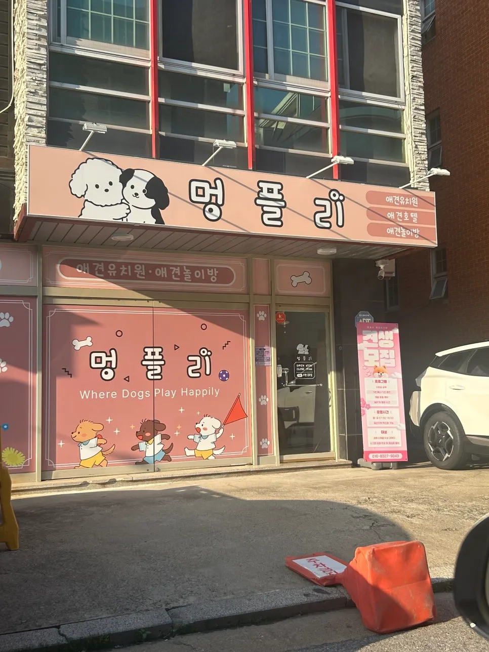 일산 애견유치원 멍플리, 사회화·놀이 만족도 최상 후기 — 사진 2