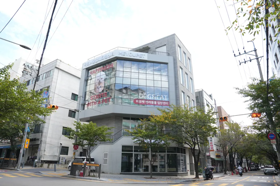 서울유기견보호센터 푸들 입양 후기: 책임분양 시스템 상세 안내 — 사진 2