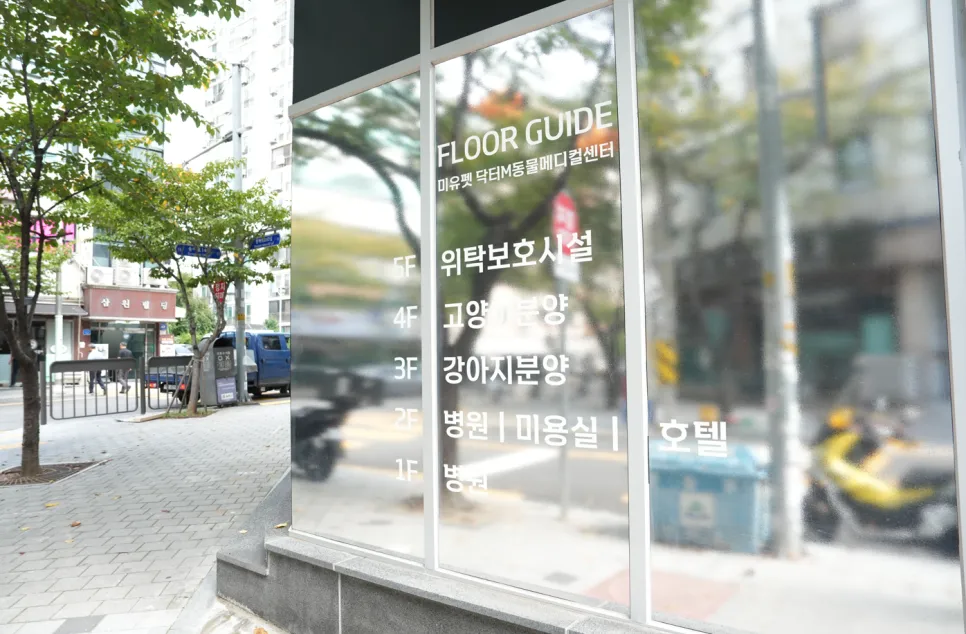 서울유기견보호센터 푸들 입양 후기: 책임분양 시스템 상세 안내 — 사진 3