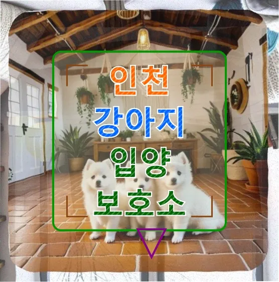 인천 강아지 입양 보호소 후기: 비만·혈변·분리불안 극복기