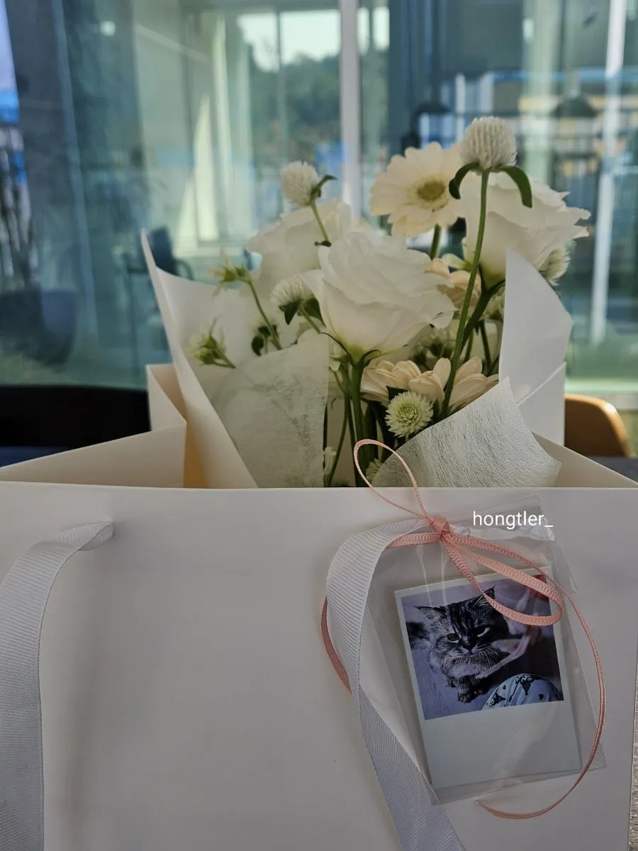 고양이 장례 펫포레스트 김포점 가격 및 절차 안내 — 사진 7