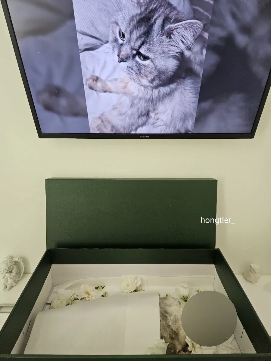 고양이 장례 펫포레스트 김포점 가격 및 절차 안내 — 사진 13
